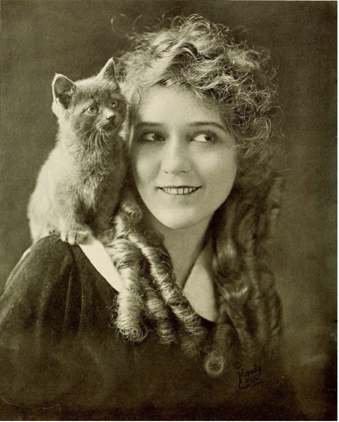Portrait of Mary Pickford with a kitten perched on her shoulder, her signature ringlet curls visible.