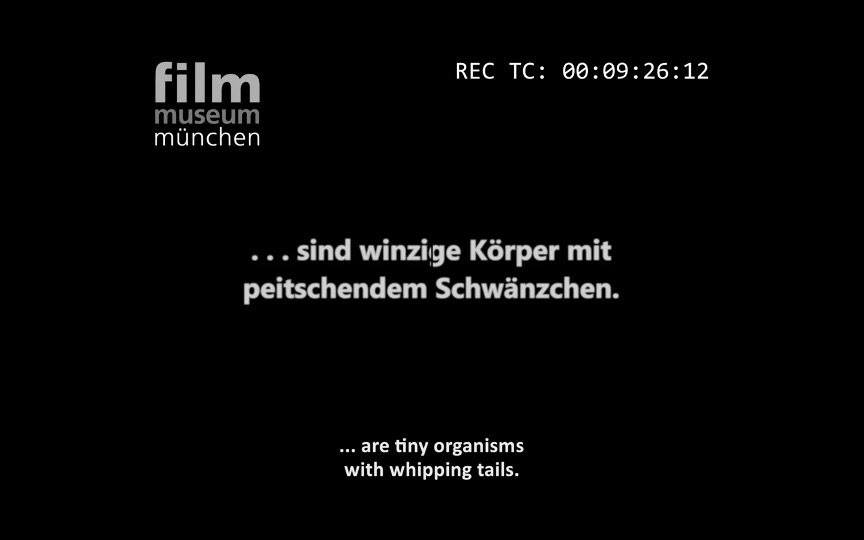 Screenshot © Filmmuseum München. Gesetze der Liebe, 1927.